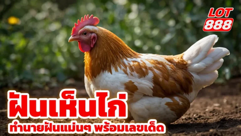 ฝันเห็นไก่