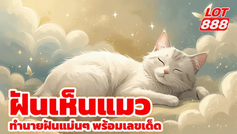 ฝันเห็นแมว